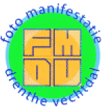 Logo FMDV