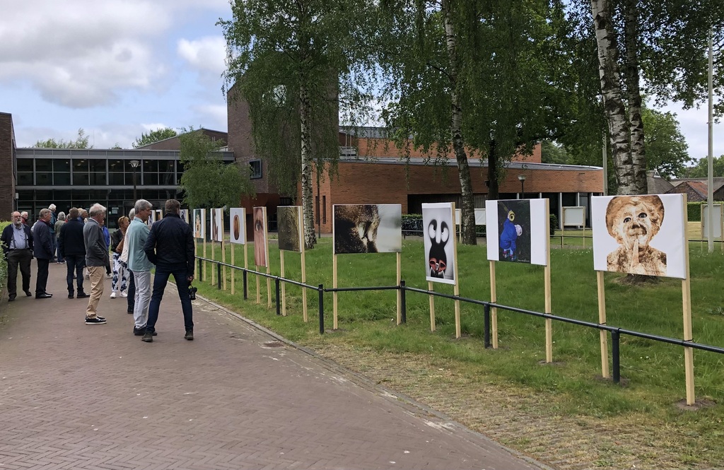 Oog in beeld foto Bert