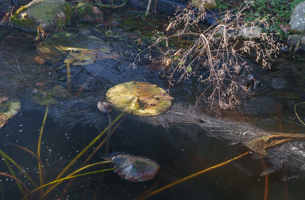 01 02 Annelies 26 02 2026