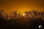 02-02-Annelies-20261029